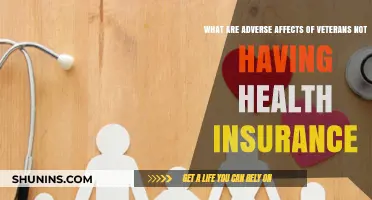 Uninsured Veterans: The Hidden Health Crisis and Its Devastating Consequences