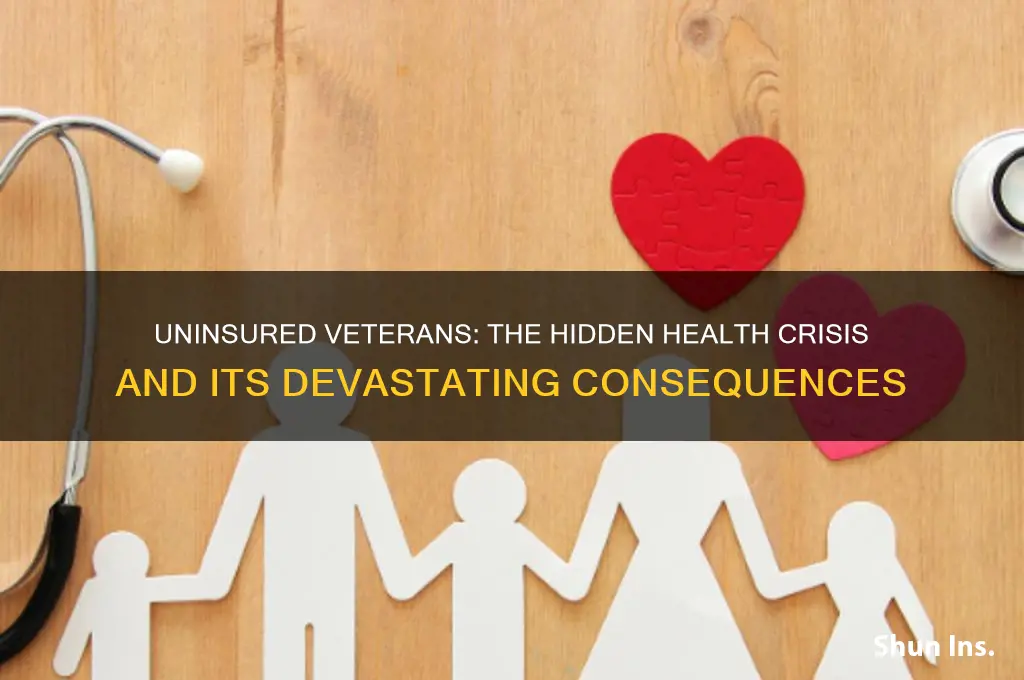 what are adverse affects of veterans not having health insurance