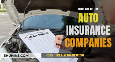 Best Auto Insurance Companies: Comprehensive List and Comparison