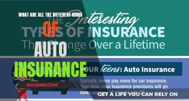 Explore Auto Insurance: Comprehensive Guide to Coverage Types