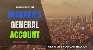 General Account Assets: Insurers' Investment Strategies