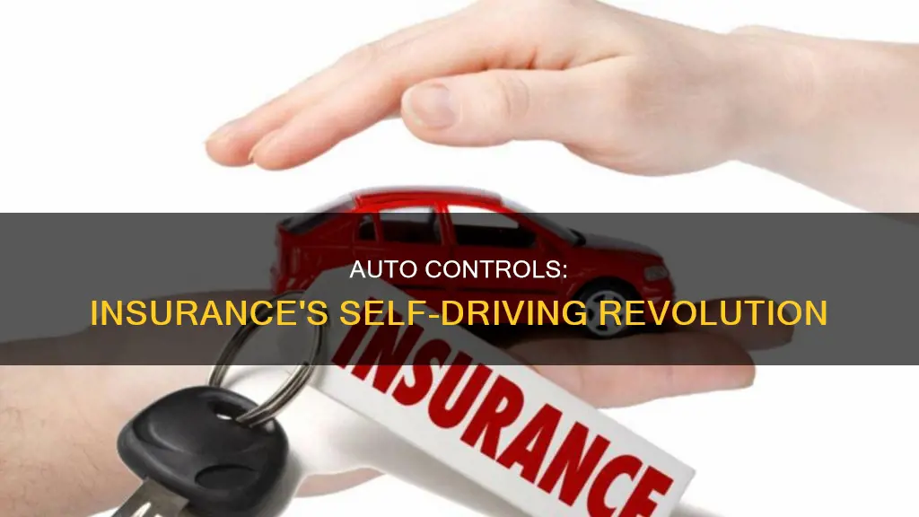 what are auto controls in insurance