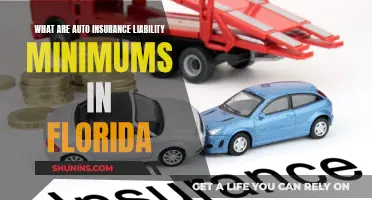 Florida Auto Insurance: Understanding Liability Minimums