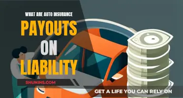 Understanding Liability Auto Insurance Payouts and Coverage