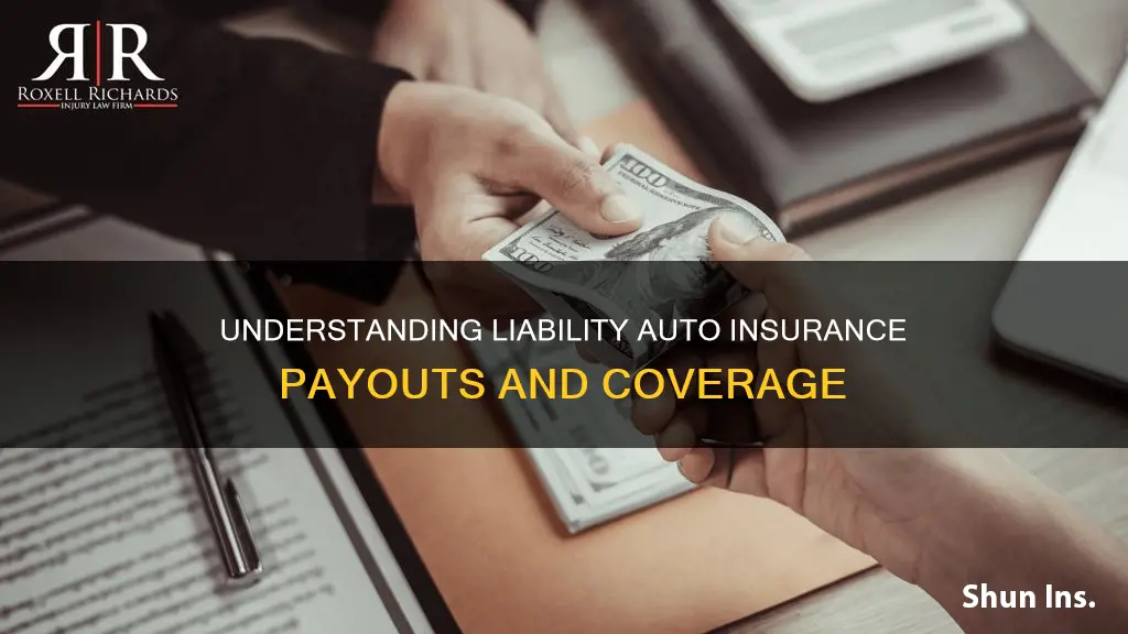 what are auto insurance payouts on liability