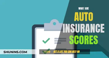 Understanding Auto Insurance Scores: How They Affect Your Premiums