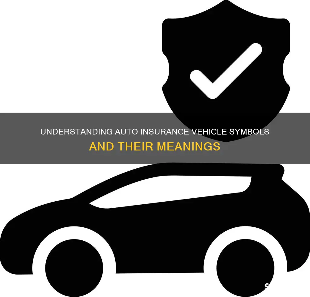 what are auto insurance vehicle symbols