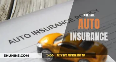 Auto Insurance: Understanding the Basics of Vehicle Coverage