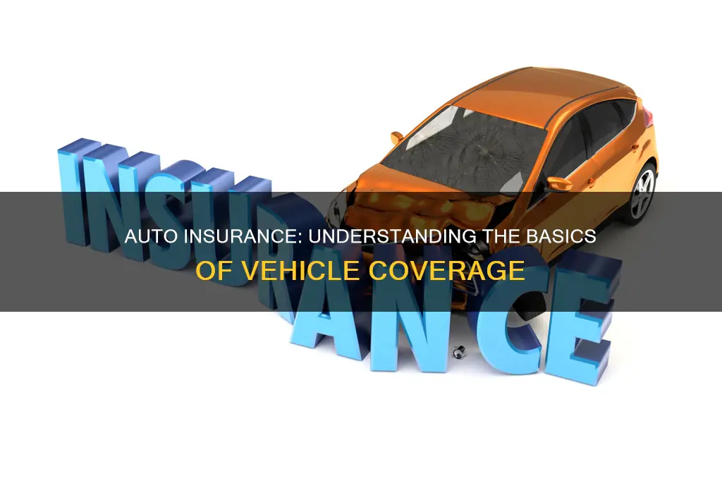 what are auto insurance