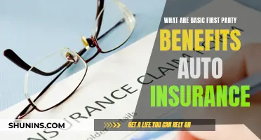 First-Party Benefits: Auto Insurance Basics Explained