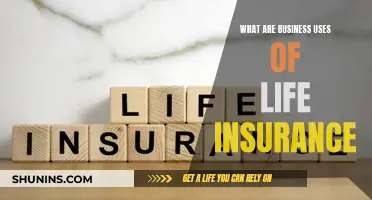 Life Insurance: A Business's Safety Net