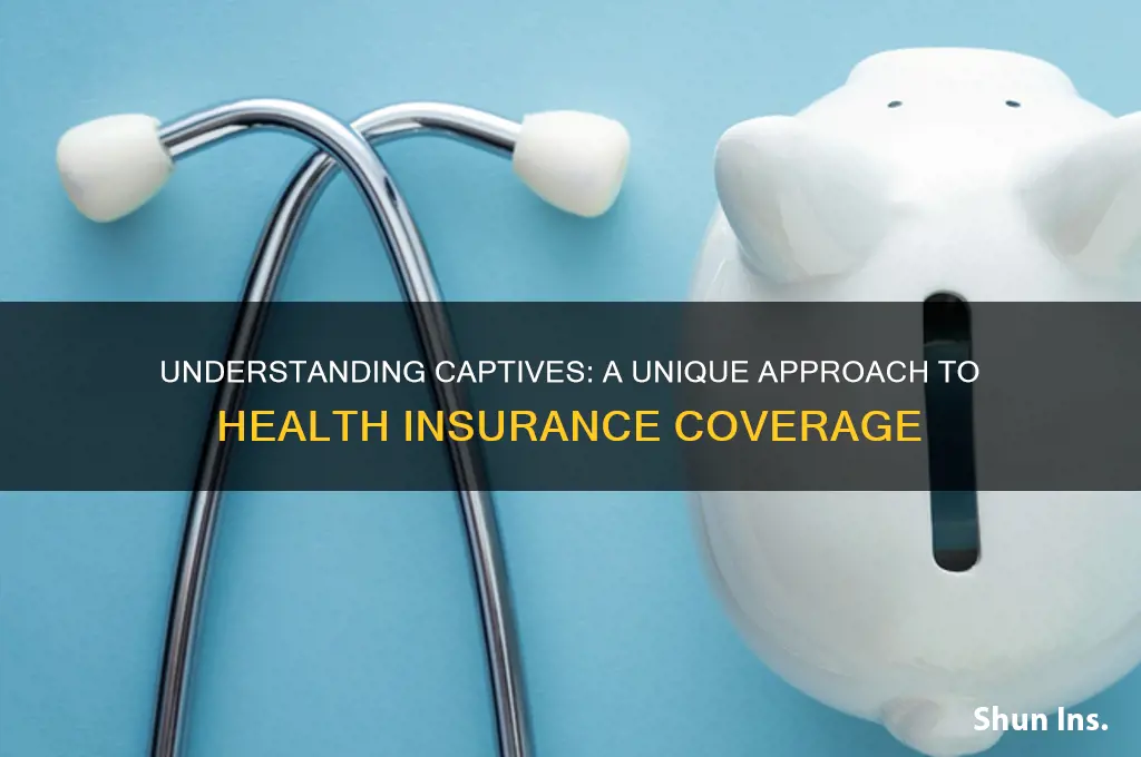what are captives in health insurance