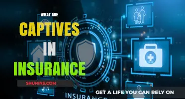 Captives: Insurers' Self-Insurance Strategy