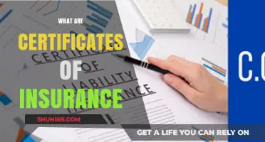 Understanding Certificates of Insurance: Essential Coverage Proof Explained