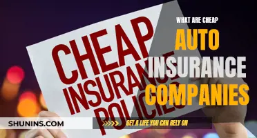 Affordable Auto Insurance: Finding the Cheapest Companies