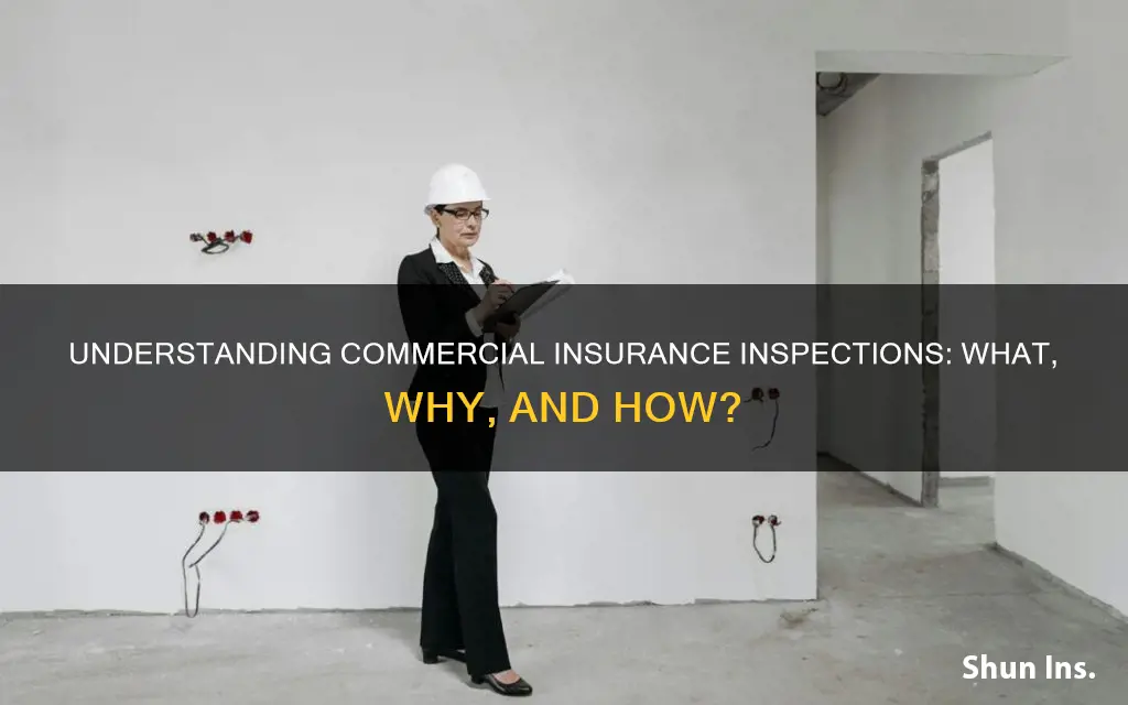 what are commercial insurance inspections