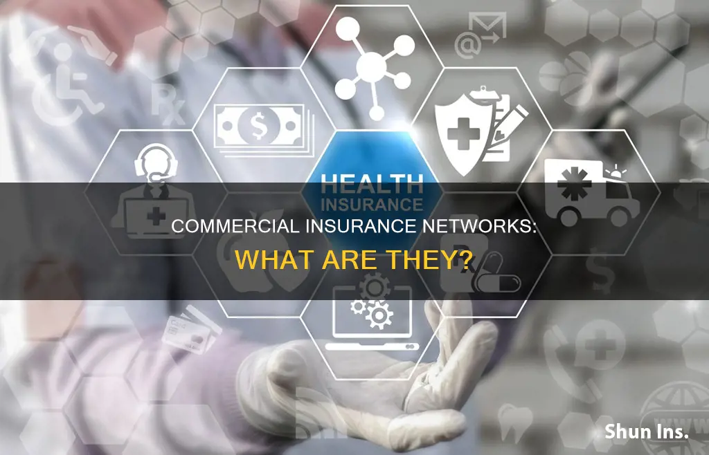 what are commercial insurance networks