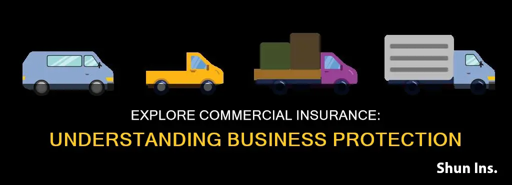 what are commercial lines of insurance