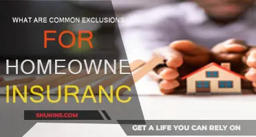 Home Insurance Exclusions: What's Not Covered?