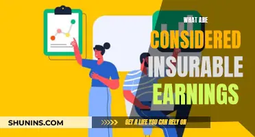 Insurable Earnings: What Counts?