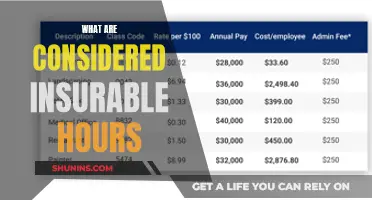 Insurable Hours: What Counts?