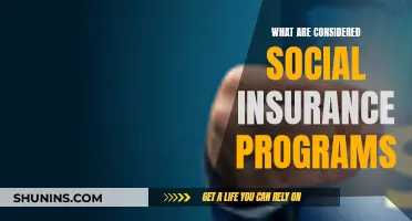 Social Insurance Programs: A Safety Net