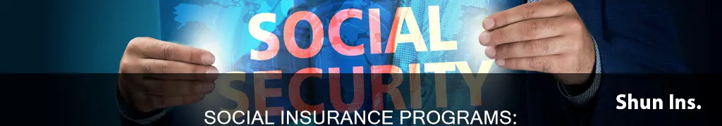 what are considered social insurance programs