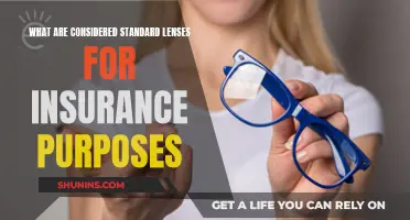 Standard Lenses: Insurance Coverage Basics