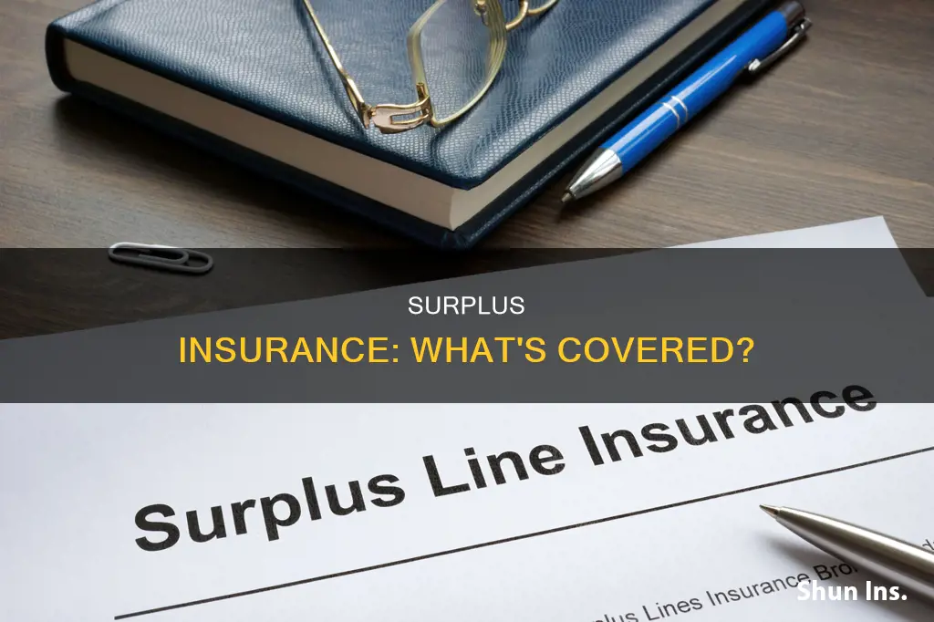 what are considered surplus lines of insurance