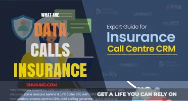 Understanding Data Calls: Insurance Insights