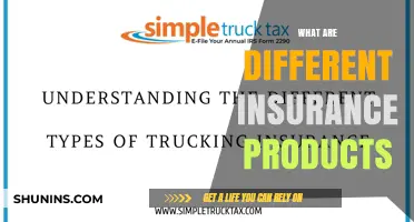 Explore Insurance Products: Types and Benefits