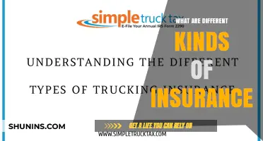 Explore the Many Types of Insurance Policies Available