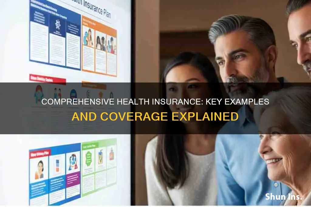 what are examples of comprehenive health insurance