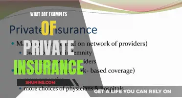 Private Insurance Examples: Understanding Personalized Coverage Options