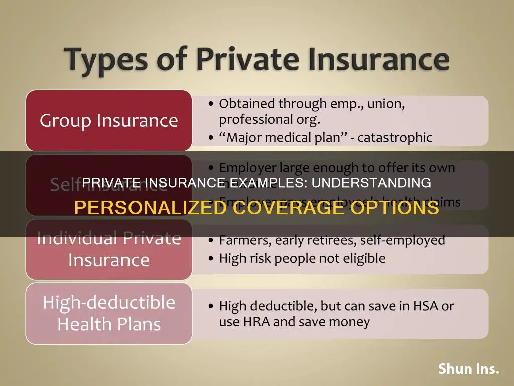 what are examples of private insurance