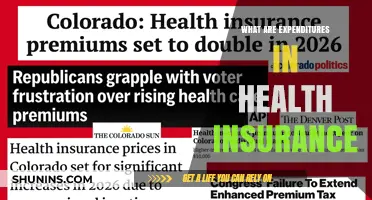 Understanding Health Insurance Expenditures: Costs, Coverage, and Claims Explained