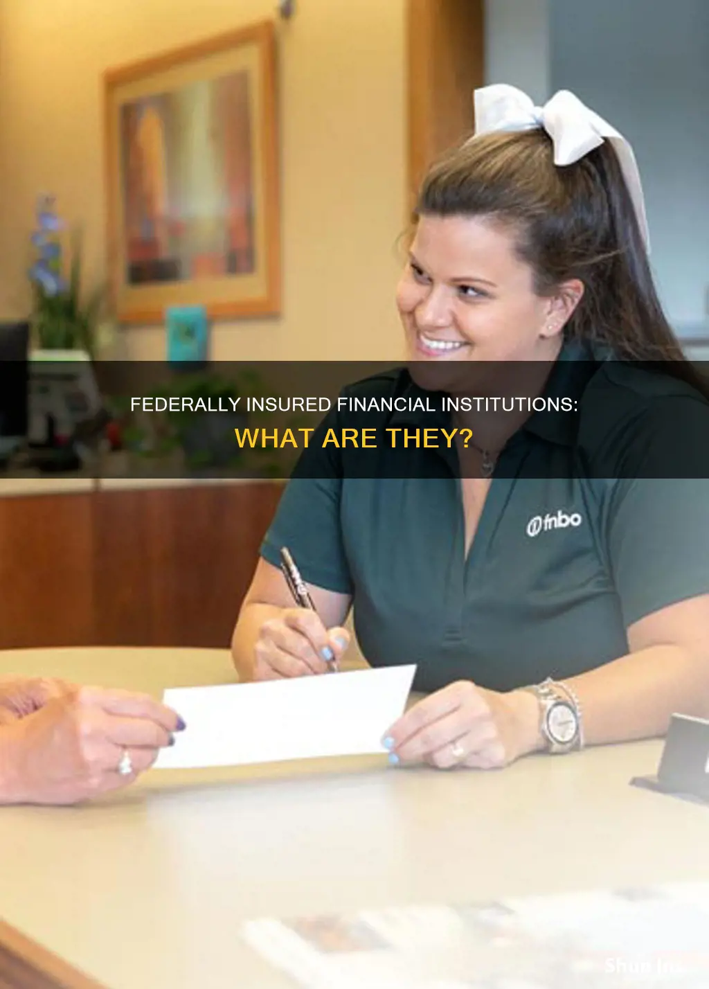 what are federally insured financial institutions