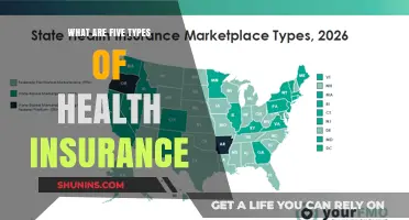 Understanding Health Insurance: Exploring Five Essential Coverage Types