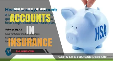 Understanding Insurance: Flexible Spending Accounts Explained