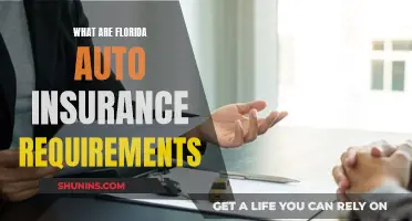 Florida Auto Insurance: What's the Minimum Coverage Required?