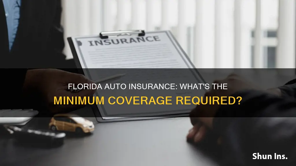 what are florida auto insurance requirements