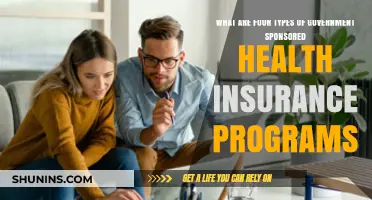 Exploring Government-Sponsored Health Insurance: Four Key Programs Explained