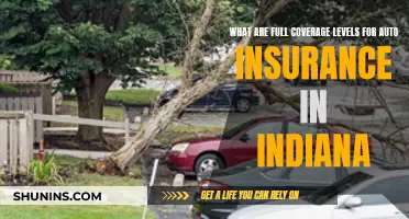 Full Coverage Auto Insurance in Indiana: Understanding Levels