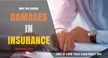 Understanding General Damages in Insurance Claims: A Comprehensive Guide