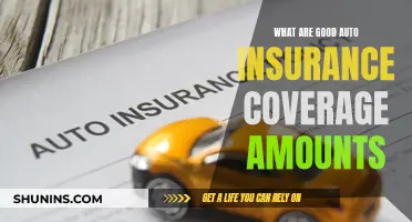 Auto Insurance Coverage: How Much is Enough?