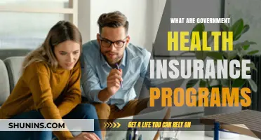 Understanding Government Health Insurance Programs: Coverage, Eligibility, and Benefits