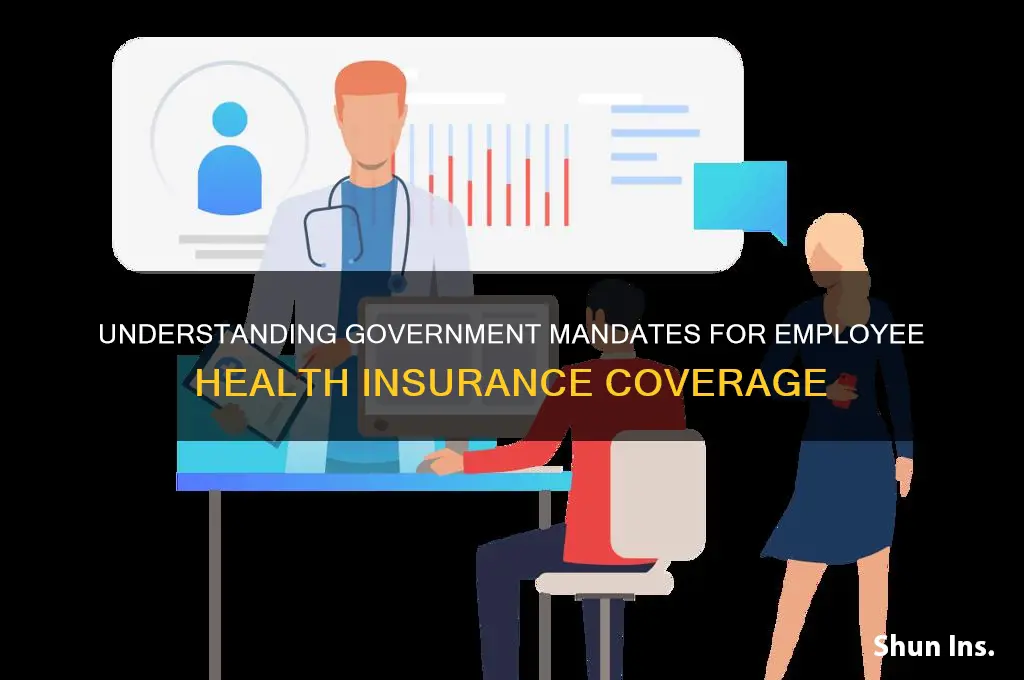 what are government rules about providing health insurance to employhees
