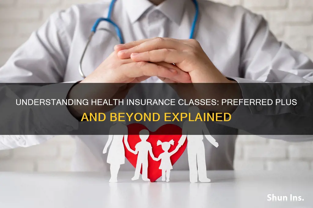 what are health insurance classes like preferred plus