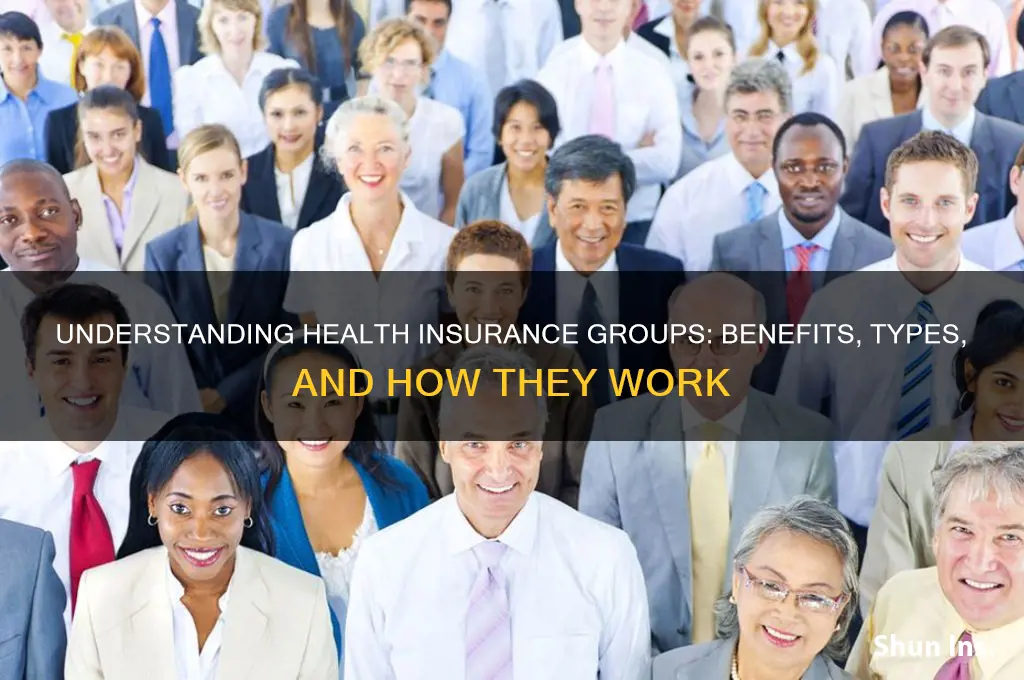 what are health insurance groups
