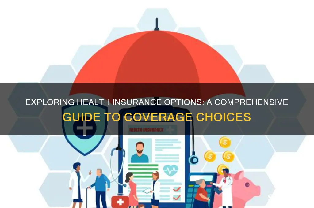 what are health insurance options